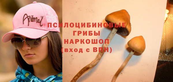 таблы Арсеньев