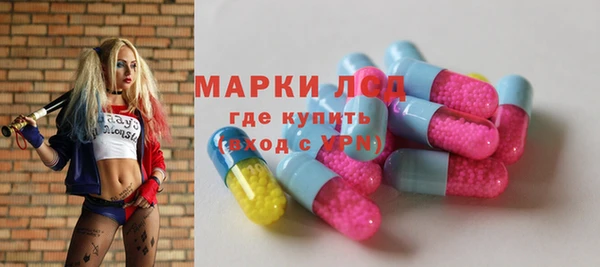 прущие грибы Армянск