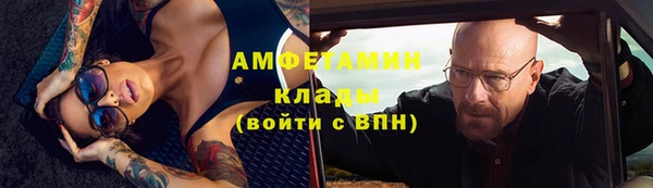 прущие грибы Армянск