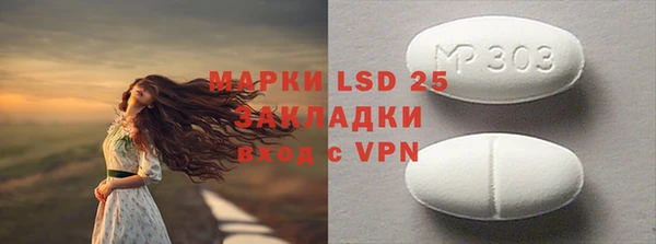 хмурый Аркадак