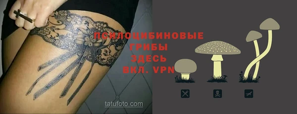 прущие грибы Армянск