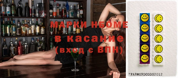 хмурый Аркадак