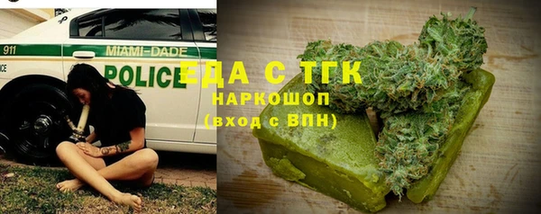 хмурый Аркадак