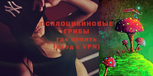 прущие грибы Армянск