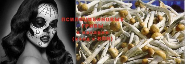 прущие грибы Армянск
